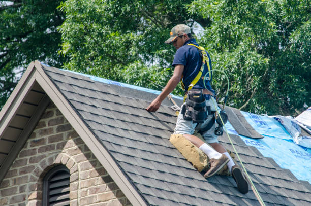 Best Local Roofing Companies  in Waunakee, WI